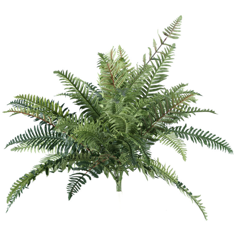 D & W Silks 28'' Faux Fern Plant Wayfair Canada